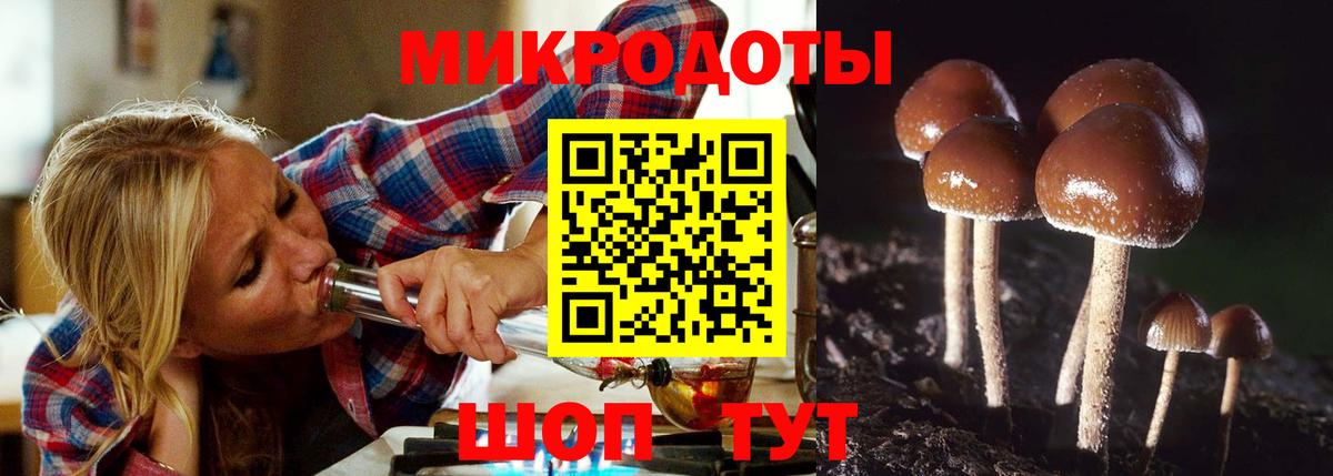 Галлюциногенные грибы мицелий Кушва